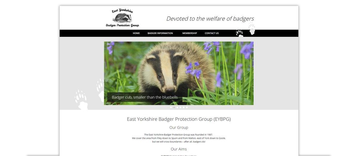 East Yorkshire Badger Protection Group