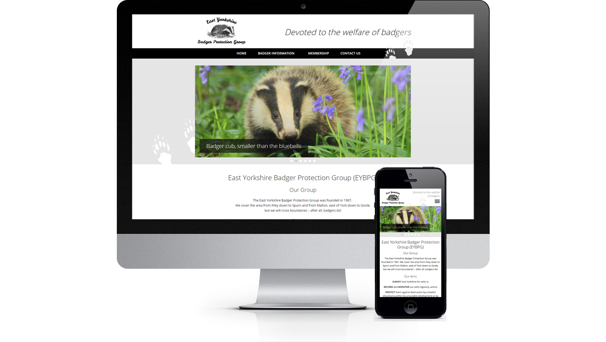East Yorkshire Badger Protection Group - Devoted to the welfare of badgers