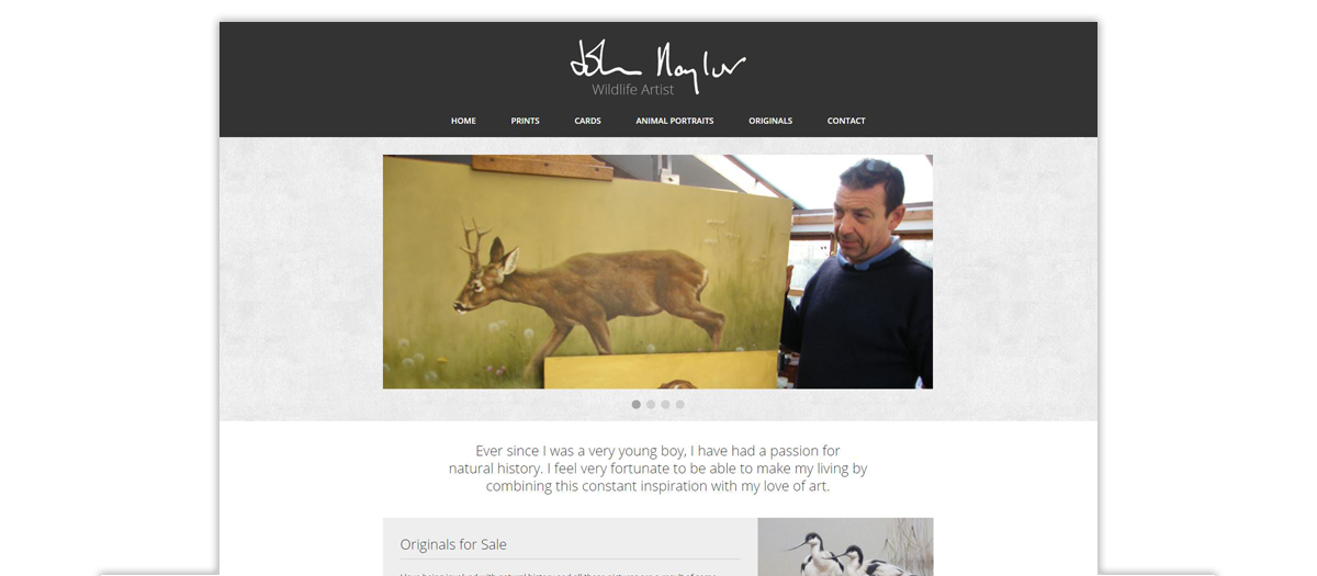 John Naylor Wildlife Artist