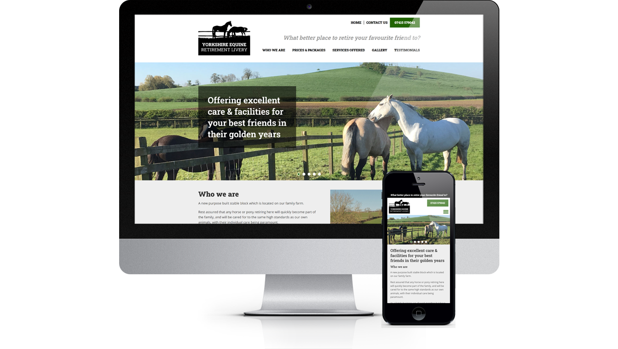 Yorkshire Equine Retirement Livery - Offering excellent care & facilities for your best friends in their golden years